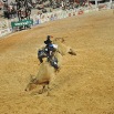 Brazil Rodeo